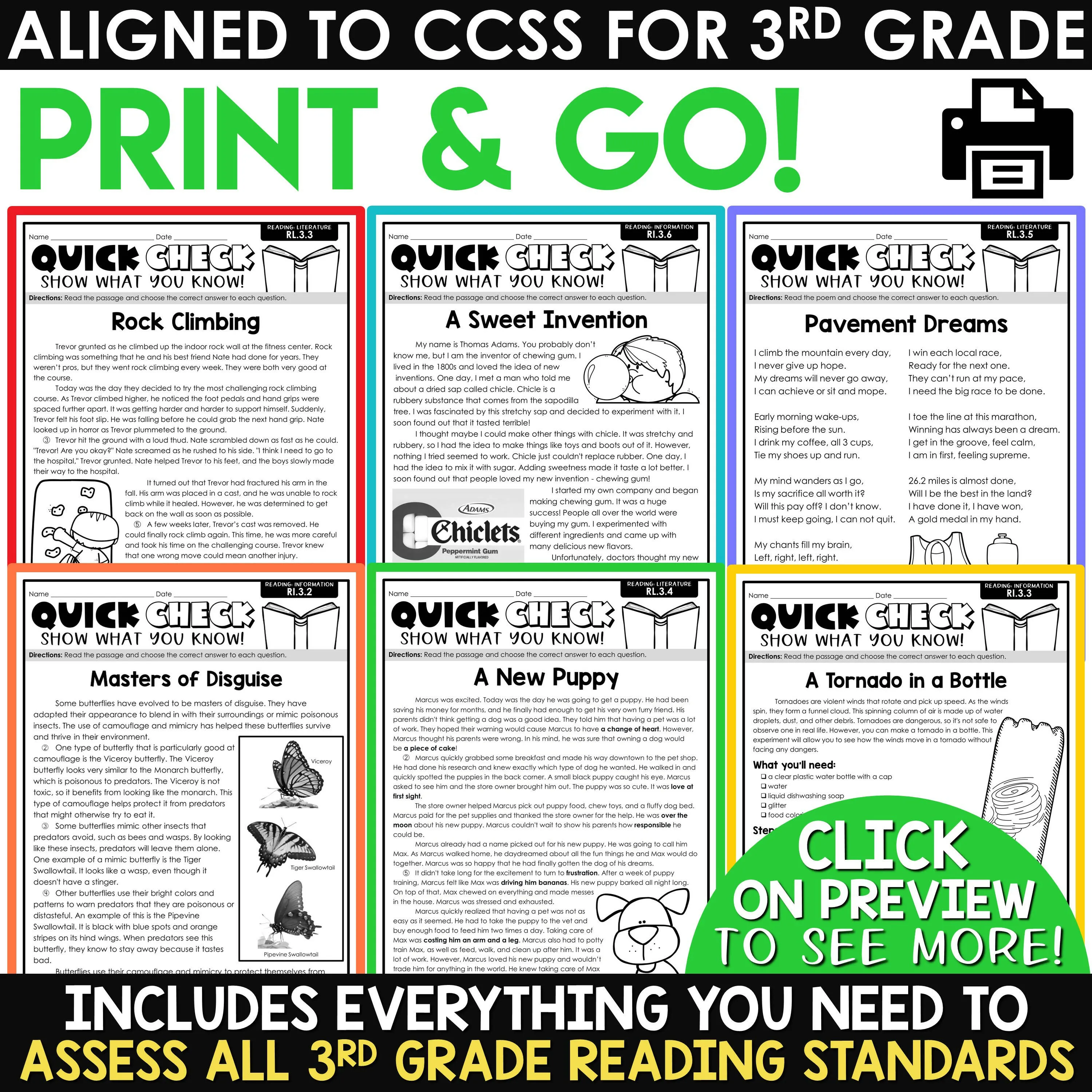 3rd Grade Reading Comprehension Passages & Questions Worksheets Review Test Prep