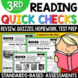 3rd Grade Reading Comprehension Passages & Questions Worksheets Review Test Prep