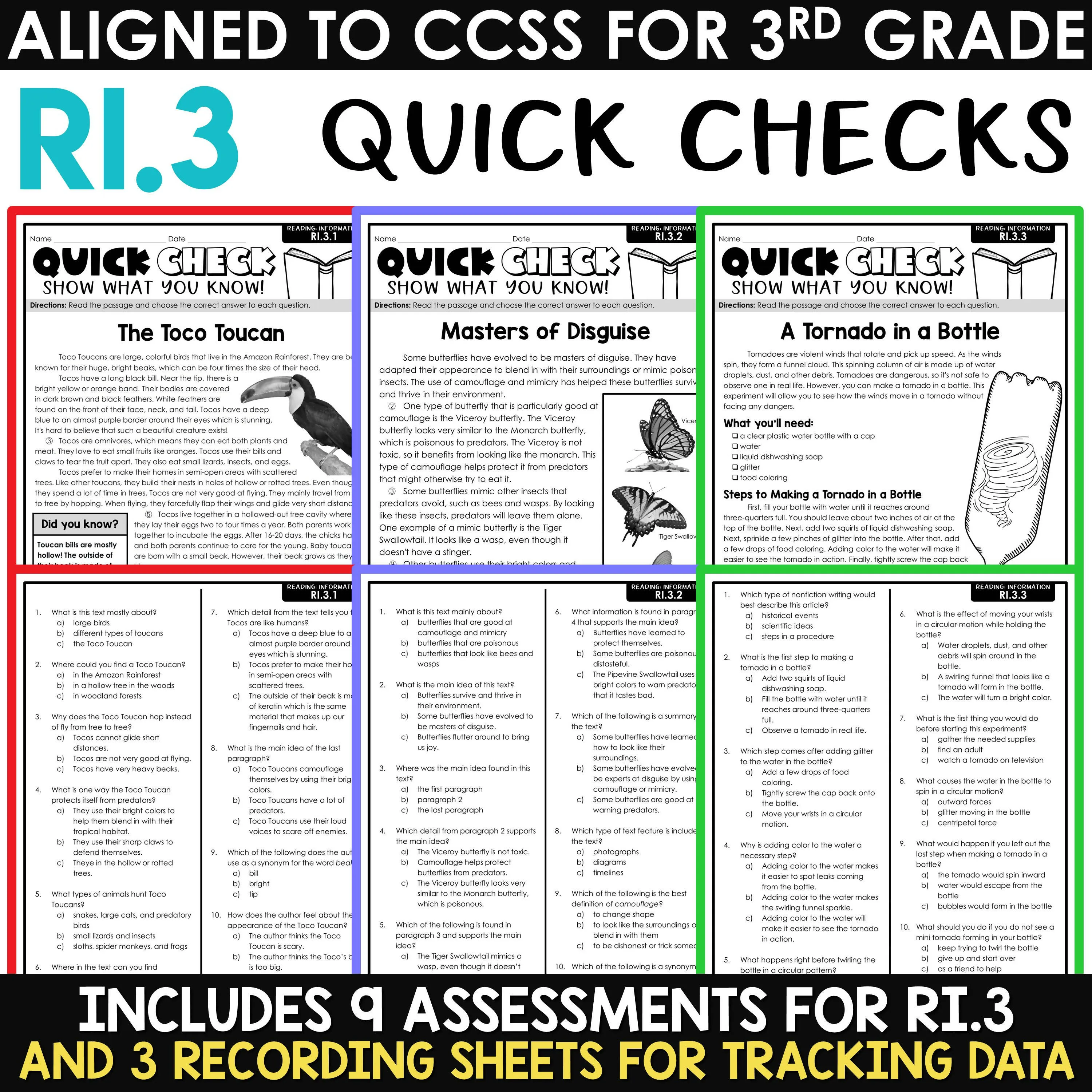 3rd Grade Reading Comprehension Passages & Questions Worksheets Review Test Prep
