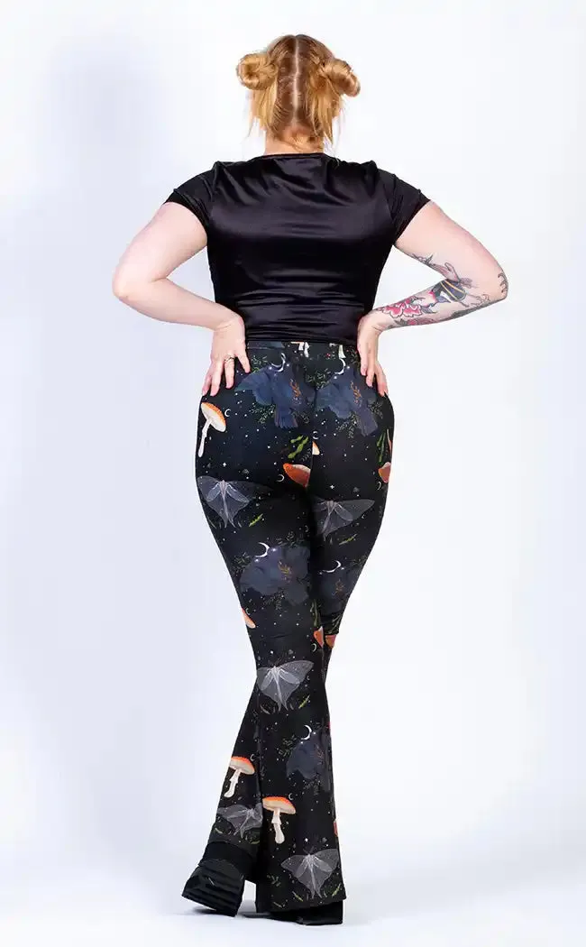 Dark Divine Flares