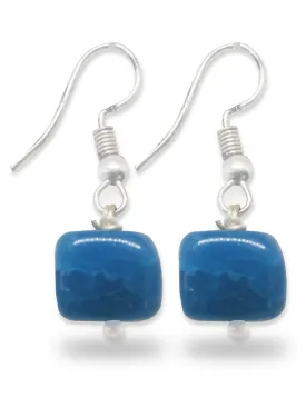 Glossy Blue Stone Fish Hook Drop Earrings