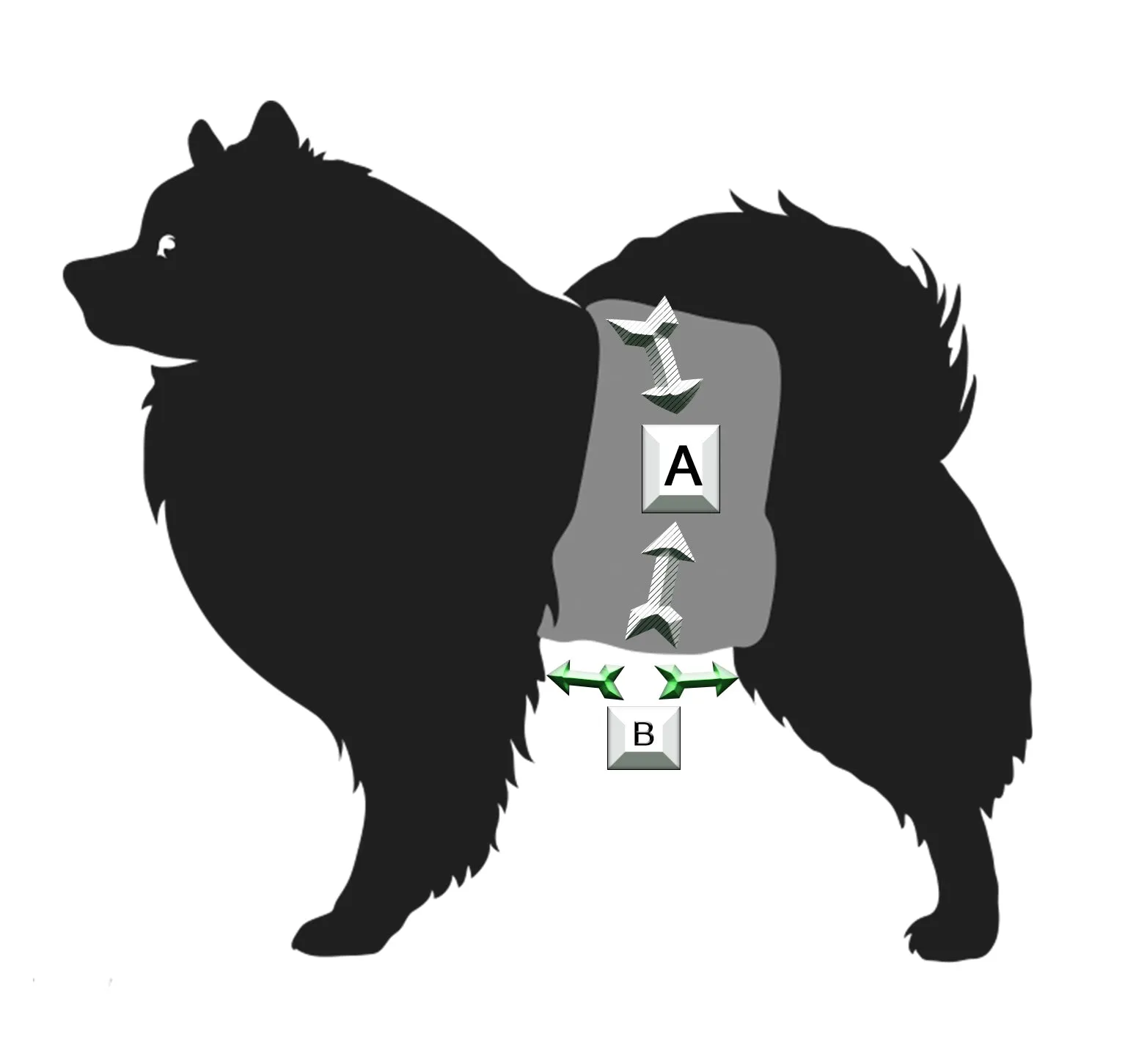 Royal Stewart Male Dog Belly Band - Poppers