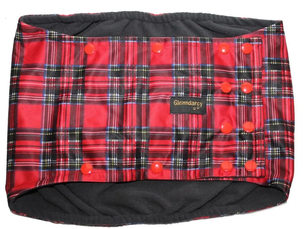 Royal Stewart Male Dog Belly Band - Poppers